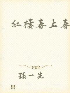 红楼春上春封面