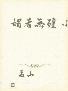 媚者无疆 小说