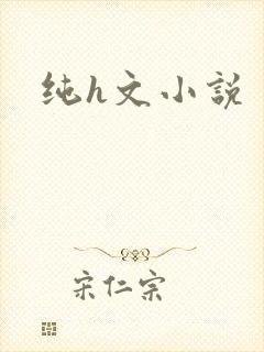 纯h文小说