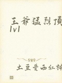 王爷猛烈顶弄h1v1