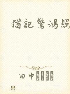 犹记惊鸿照影