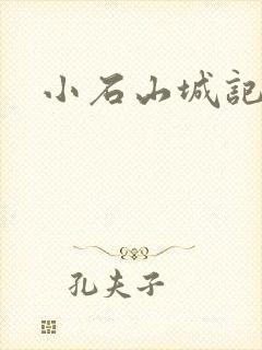 小石山城记封面