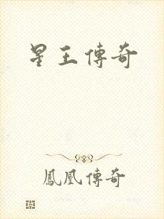 星王传奇封面