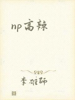 np高辣
