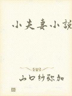 小夫妻小说封面