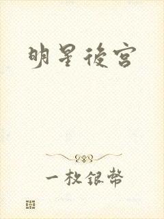 明星后宫