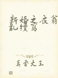 新婚之夜翁莹情乱续写