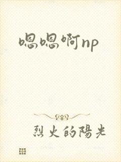 嗯嗯啊np