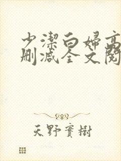少洁白妇高义无删减全文阅读