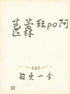芭蕾鞋po阿司匹林封面