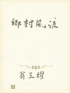 乡村风流封面