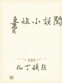 妻姐小说阅读免费封面