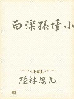 白洁孙倩小说封面