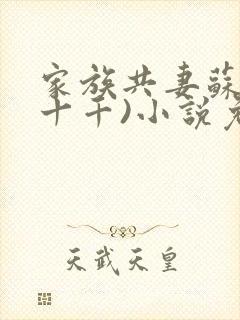 家族共妻苏苏(十千)小说免费