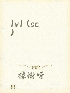 1v1 (sc)