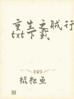 重生之贼行天下txt下载