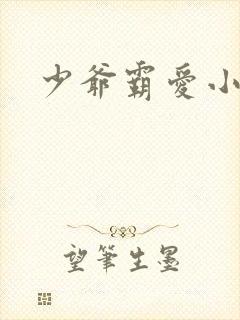 少爷霸爱小丫头