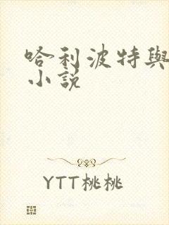 哈利波特与密室小说