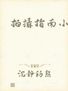 拍摄指南小说