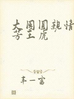 大团圆亲情会王芳王虎封面