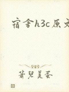 宿舍h3c原文封面