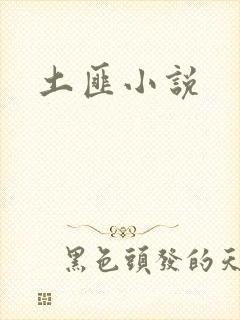 土匪小说