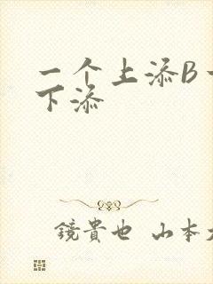 一个上添B一个下添