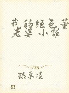 我的绝色董事长老婆 小说