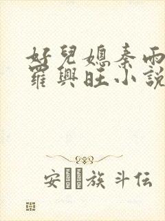 好儿媳秦雨罗明罗兴旺小说