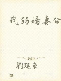 我的娇妻公务员