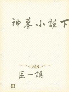 神墓小说下载