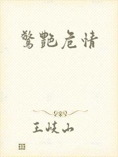 惊艳危情封面