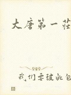 大唐第一庄