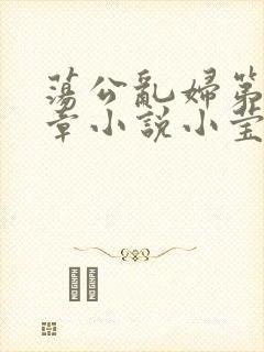 荡公乱妇第51章小说小莹