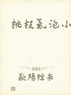 桃枝气泡小说