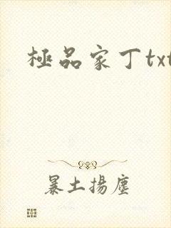 极品家丁txt