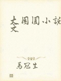 大团圆小说集全文封面