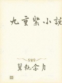 九重紫小说
