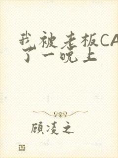 我被老板CAO了一晚上