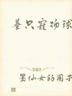养只宠物球
