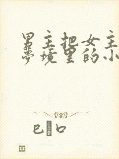 男主把女主拖进梦境里的小说
