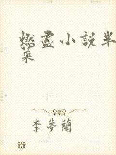 燃尽小说半截白菜