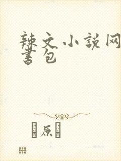 辣文小说网第二书包