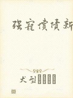强宠偿债新娘封面