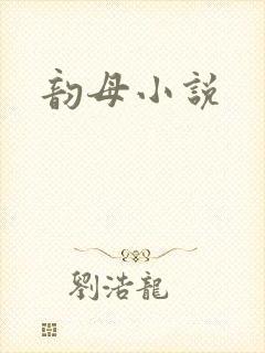 韵母小说封面