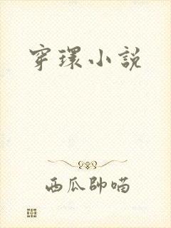 穿环小说