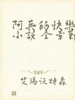 阿兵的快乐生活小说 全章节阅读免费