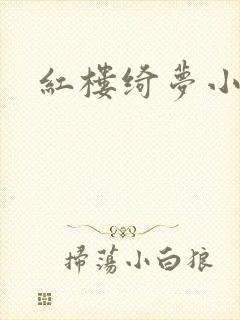 红楼绮梦小说