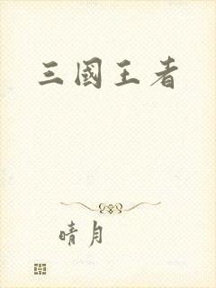 三国王者封面