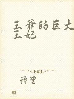 王爷的巨大进入王妃封面